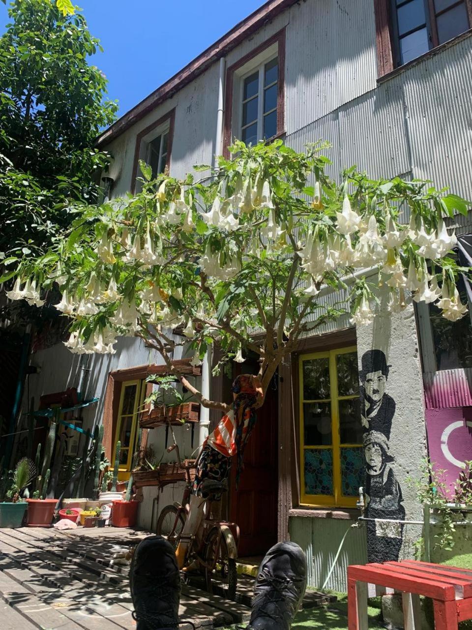 Art Hostel Casa Chaman Valparaíso Kültér fotó